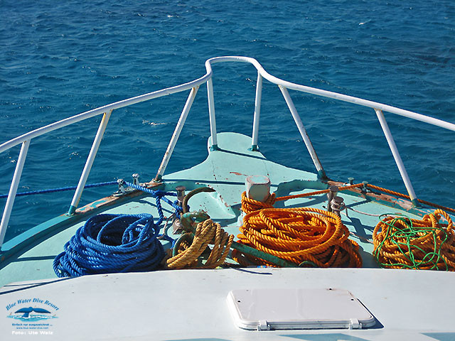 BWDR Tagesausfahrten