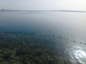 ruhige See