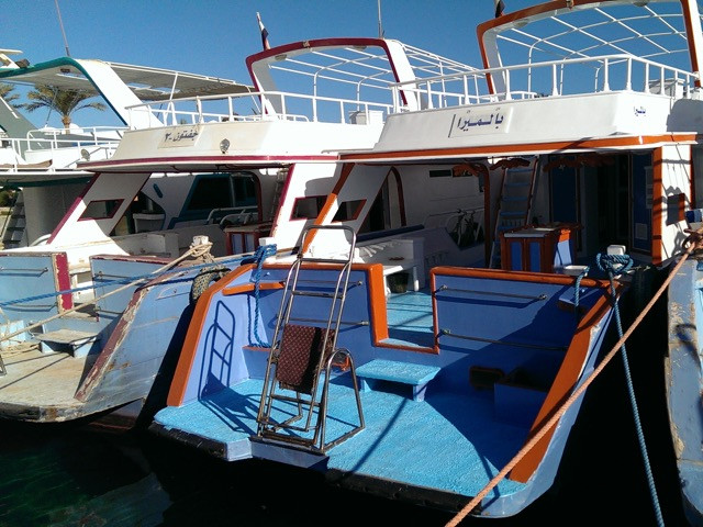 Albatros im Hafen