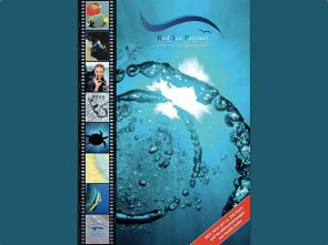 Red Sea Partner Umschlag