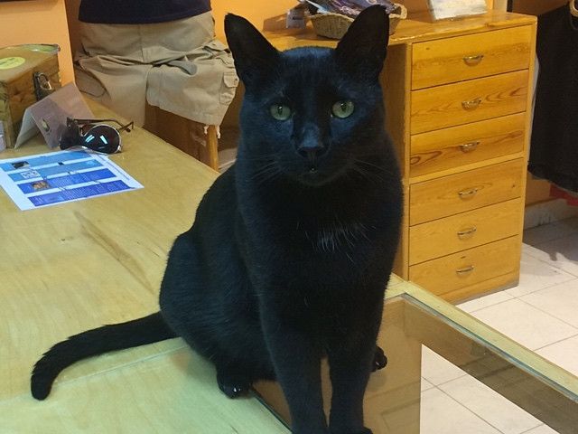 Blue Water Dive Resort