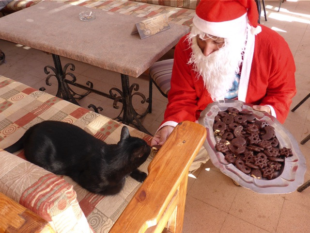 Schokolade-für-Katzen