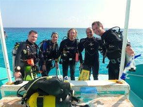 Taucher auf Plattform