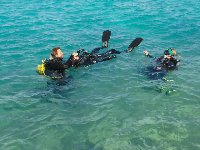 Tauche wird gerettet