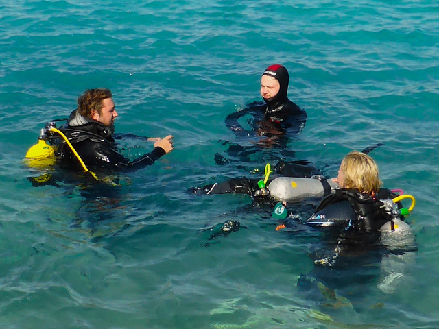 Tauchkurs an der Oberfläche