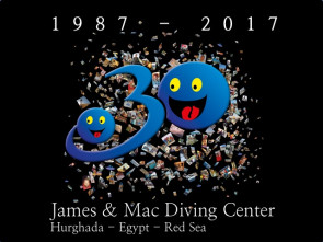 Tauchbasis-Jubiläum