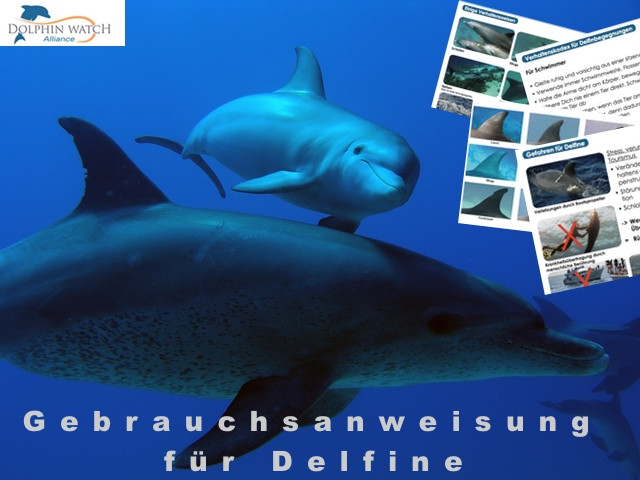 Delfinschutz