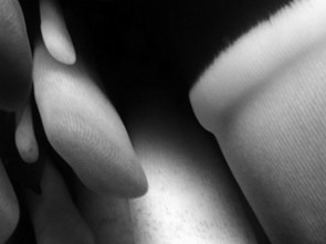 Lebewesen-Rotes-Meer