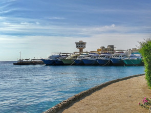 Abu-Sharara