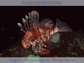 Feuerfisch