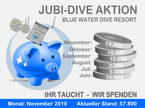 Jubi-Dive-Aktion